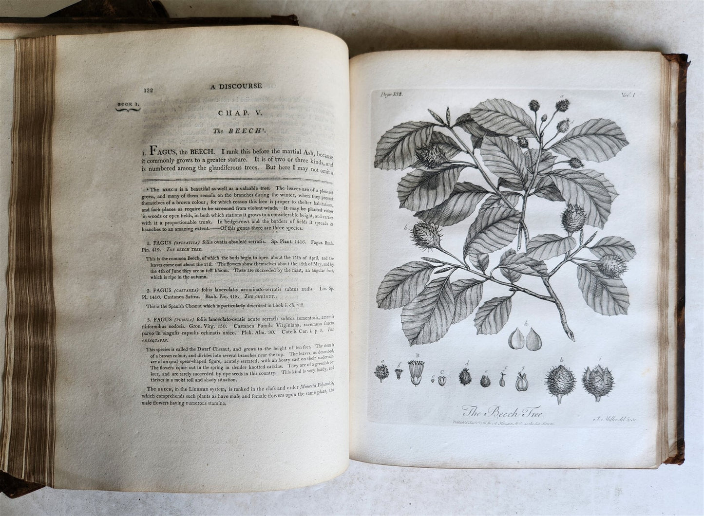 1801 SILVA: DISCOURSE OF FOREST TREES 2 VOLUMES ILLUSTRATED antique in ENGLISH