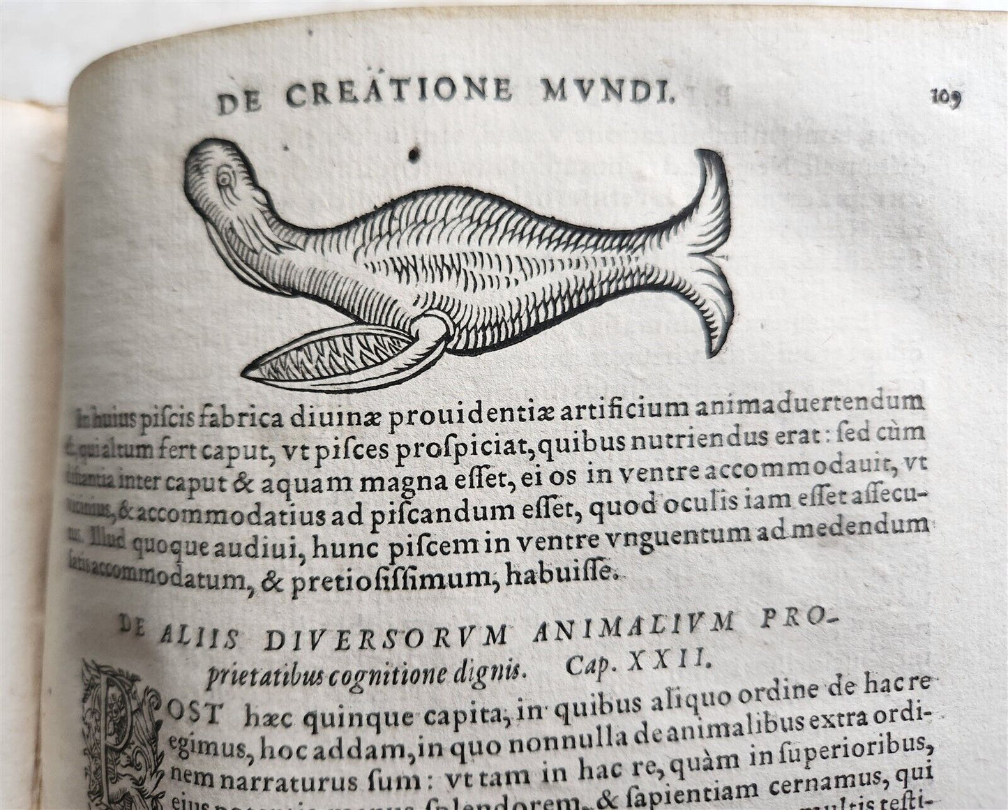 1588 Introductionis ad symbolum fidei ILLUSTRATED antique