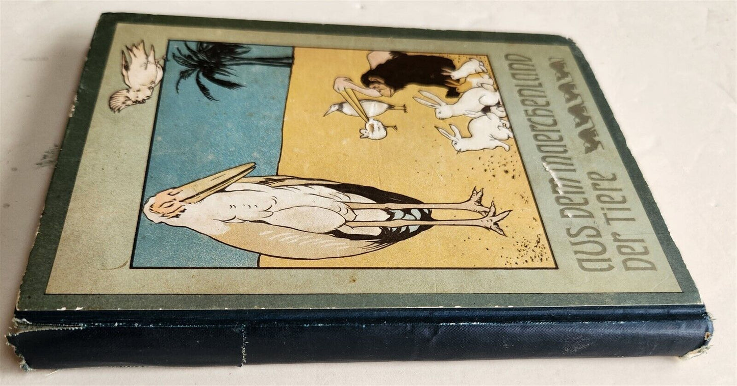1900s ILLUSTRATED GERMAN CHILDREN BOOK antique FAIRYTALE LAND OF ANIMALS