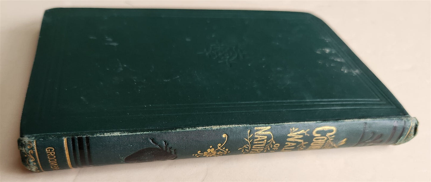 1878 COUNTRY WALKS of a NATURALIST with HIS CHILDREN antique ILLUSTRATED
