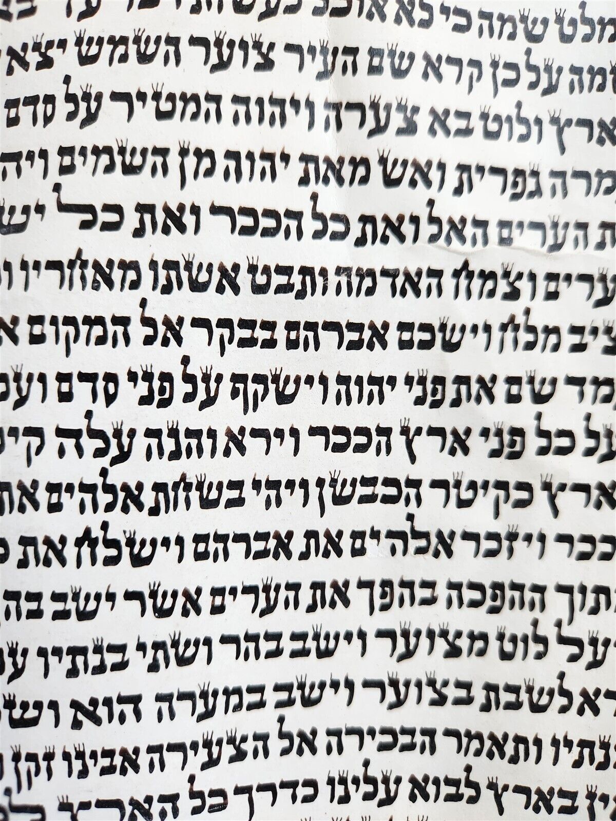 TORAH SCROLL FRAGMENT MANUSCRIPT on VELLUM antique BIBLE GENESIS 16:15 - 21:3