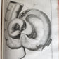 1753 SURGERY ANATOMY ILLUSTRATED antique Memoires l'Academie Royale de Chirurgie
