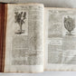 1710 BOTANOLOGIA ENGLISH HERBAL antique ILLUSTRATED MASSIVE FOLIO