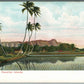 HAWAIIAN ISLANDS RICE FIELD PRIVATE MAIL ANTIQUE POSTCARD