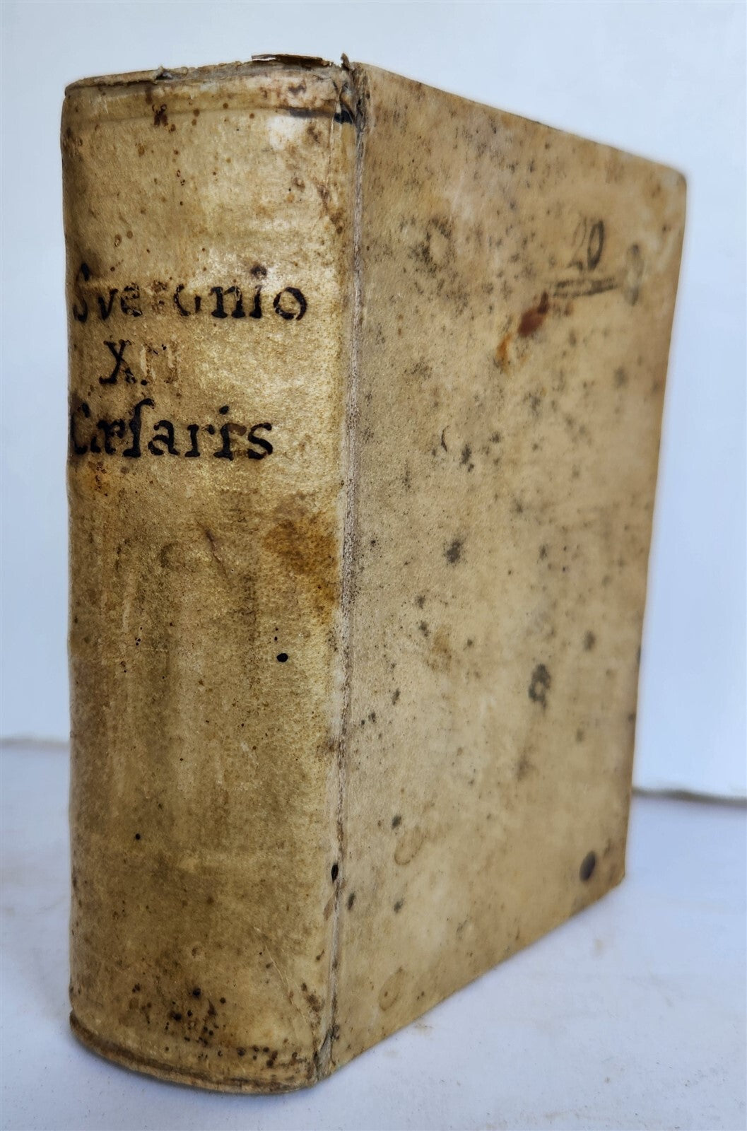 1576 TWELVE CAESARS by SUETONIUS antique VELLUM BOUND ROMAN HISTORY