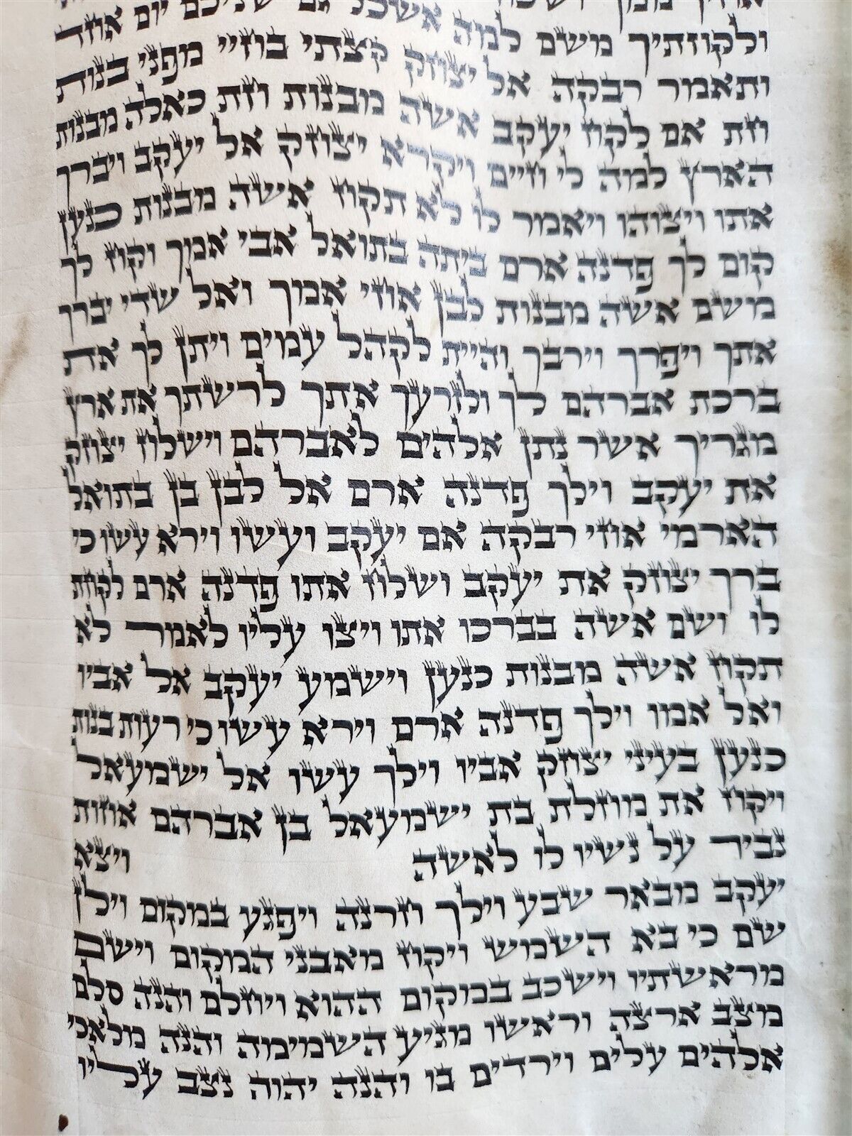 TORAH SCROLL FRAGMENT MANUSCRIPT on VELLUM antique BIBLE GENESIS 27:36 - 30:3