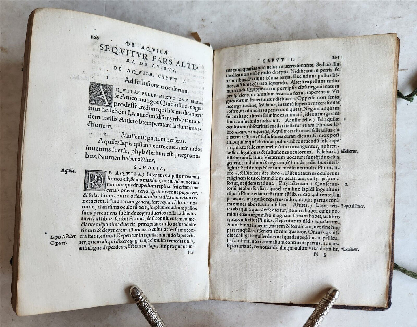1539 PLATONIC PHILOSOPHY on MEDICINE of BEASTS CATTLE & BIRDS antique 16th CENT.