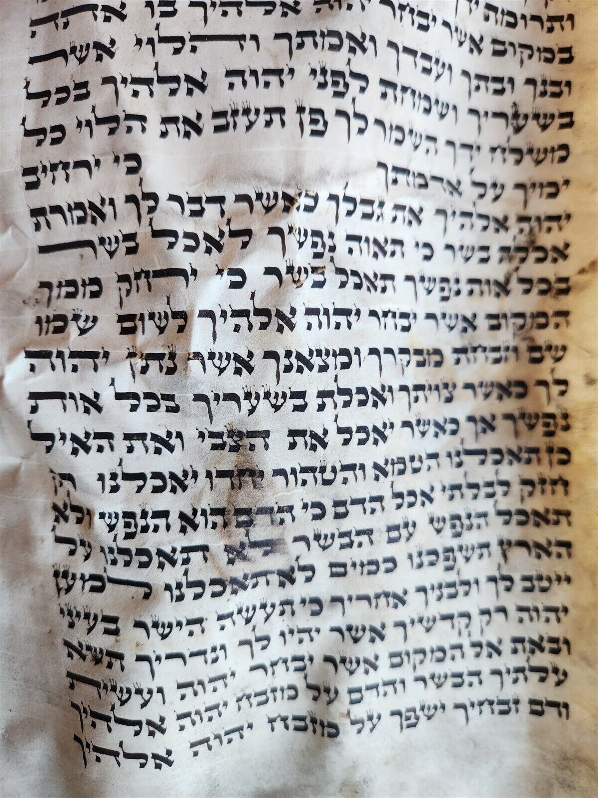 TORAH SCROLL FRAGMENT MANUSCRIPT on VELLUM antique BIBLE DEUTERONOMY 12:9-15:9