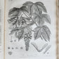 1801 SILVA: DISCOURSE OF FOREST TREES 2 VOLUMES ILLUSTRATED antique in ENGLISH