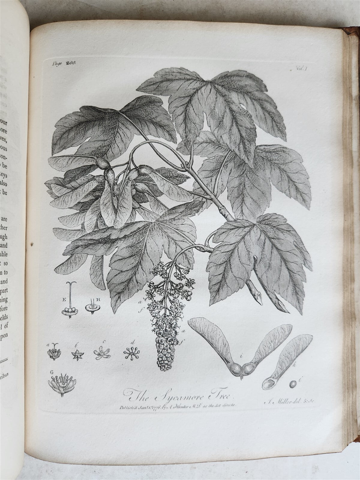 1801 SILVA: DISCOURSE OF FOREST TREES 2 VOLUMES ILLUSTRATED antique in ENGLISH