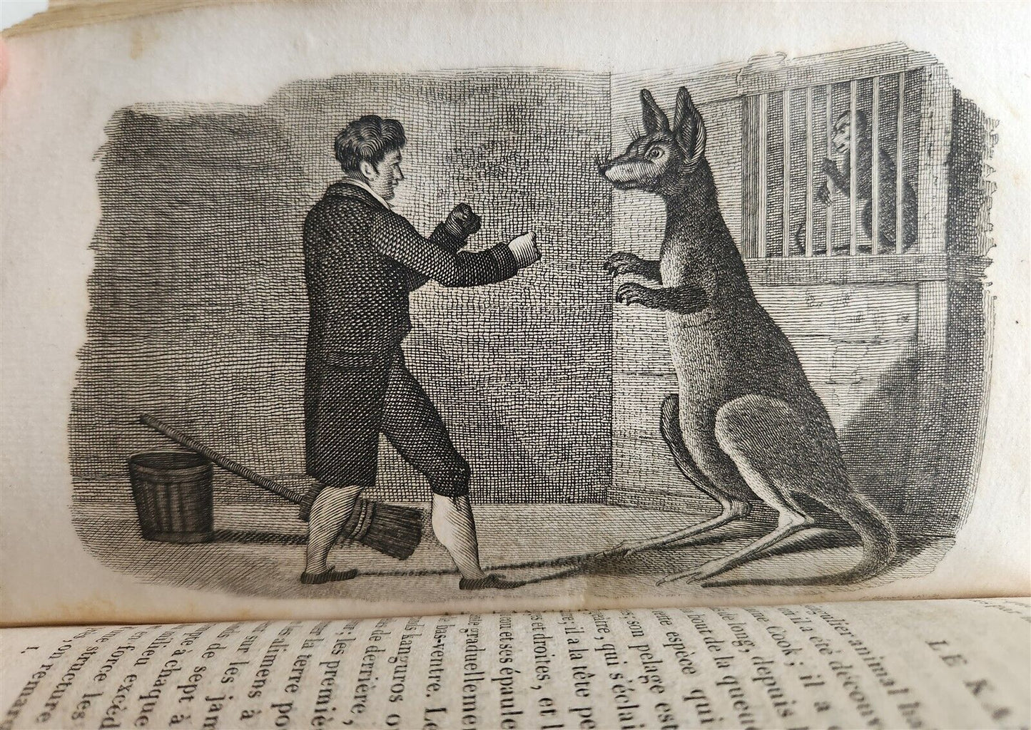 1818 HISTORY of ANIMALS ILLUSTRATED w/ 65 PLATES antique 6 VOLUMES