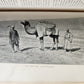 1903 CENTRAL ASIA & TIBET TOWARDS HOLY CITY of LASSA 2 VOLS antique ILLUSTRATED