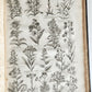 1756 BRITISH HERBAL J.HILL antique ILLUSTRATED FOLIO HISTORY OF PLANTS & TREES