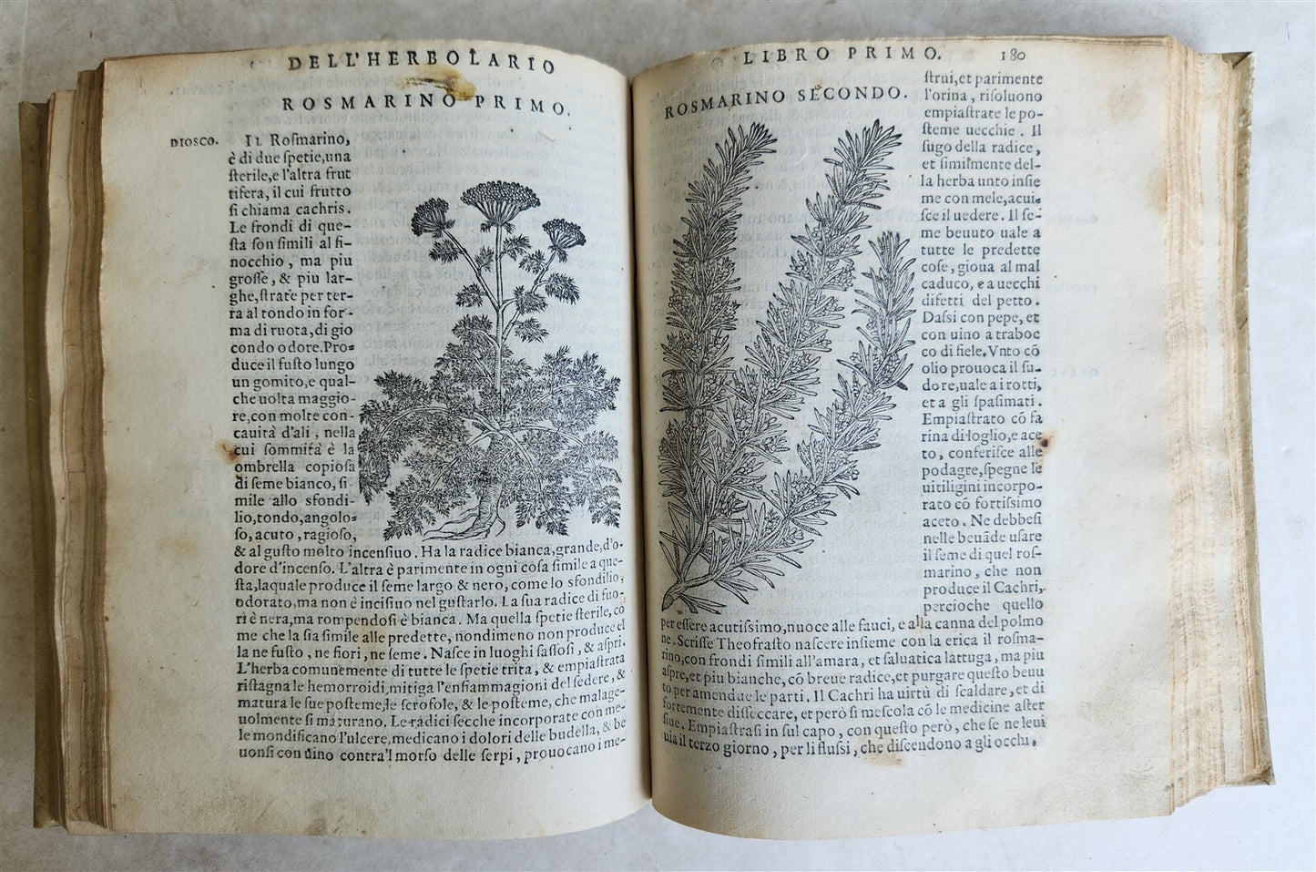 1561 PHARMACOPEIA ILLUSTRATED MEDICAL PLANTS by SANSOVINO antique 16th CENTURY