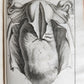 1753 SURGERY ANATOMY ILLUSTRATED antique Memoires l'Academie Royale de Chirurgie
