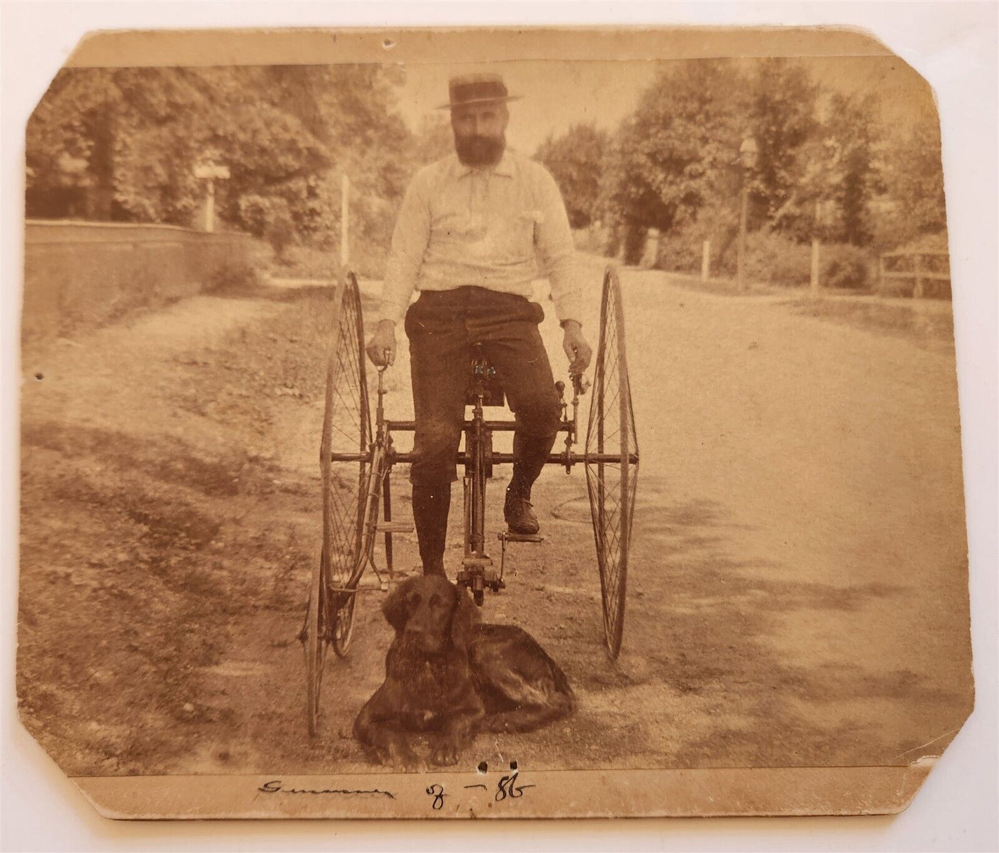 UNUSUAL BICYCLE antique CABINET PHOTO w/ DOG 19th CENTURY RARE