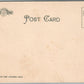 CHICAGO IL WHITE CITY ANTIQUE POSTCARD
