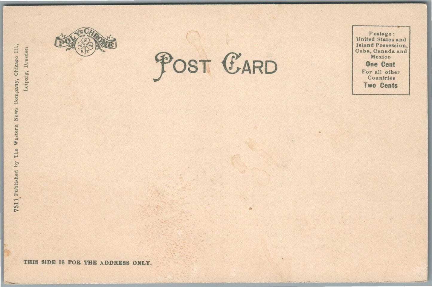 CHICAGO IL WHITE CITY ANTIQUE POSTCARD