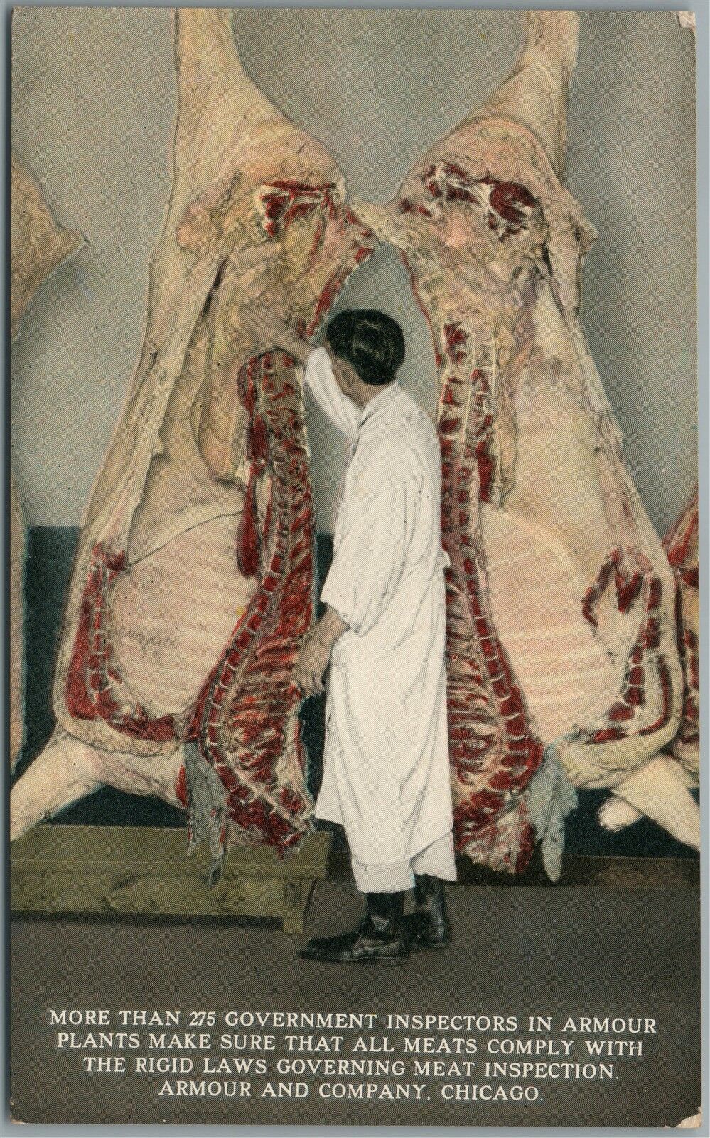 CHICAGO IL ARMOUR & CO. MEAT INSPECTION ANTIQUE POSTCARD