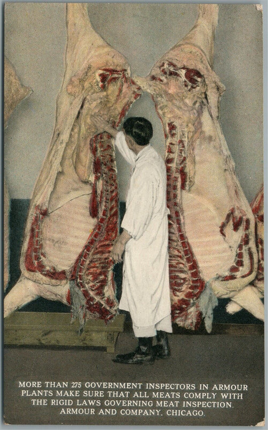 CHICAGO IL ARMOUR & CO. MEAT INSPECTION ANTIQUE POSTCARD