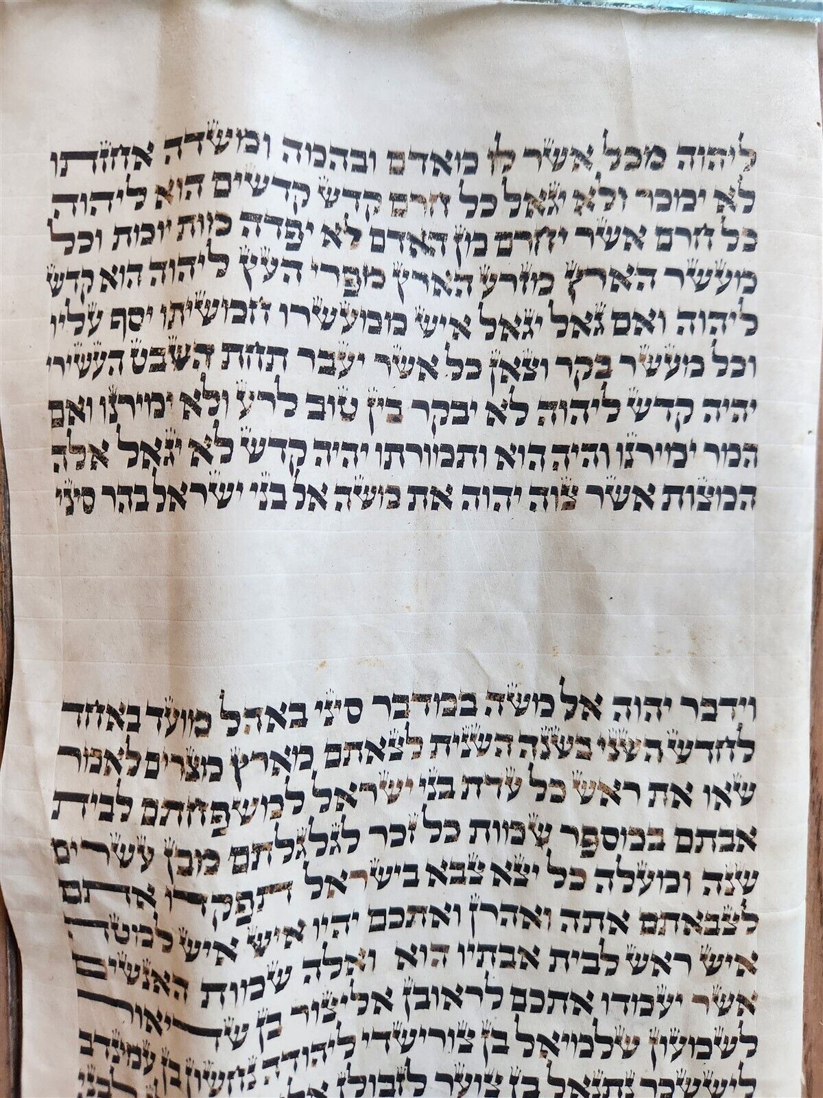 TORAH SCROLL FRAGMENT MANUSCRIPT on VELLUM antique BIBLE LEVITICUS 27:28