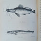 1868 NILE TRIBUTARIES OF ABYSSINIA SWORD HUNTERS of HAMRAN ARABS ILLUSTR antique