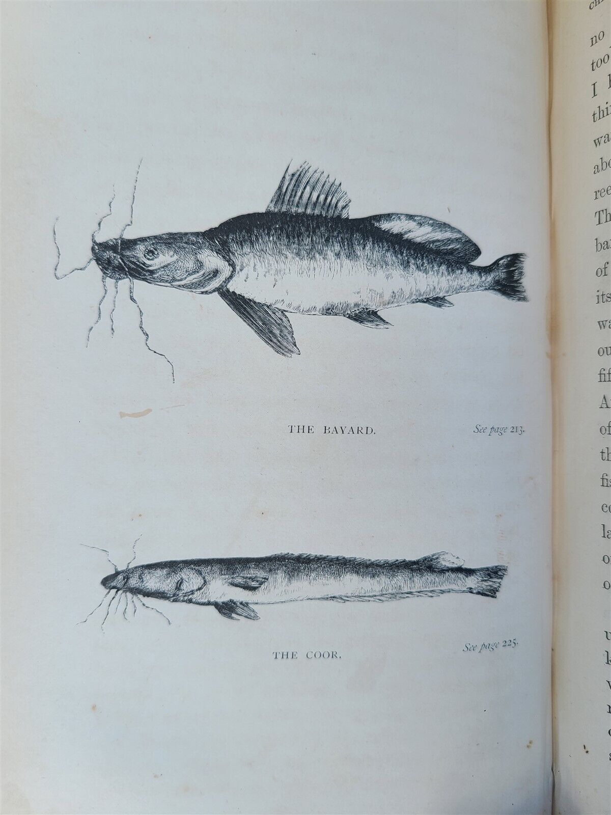 1868 NILE TRIBUTARIES OF ABYSSINIA SWORD HUNTERS of HAMRAN ARABS ILLUSTR antique