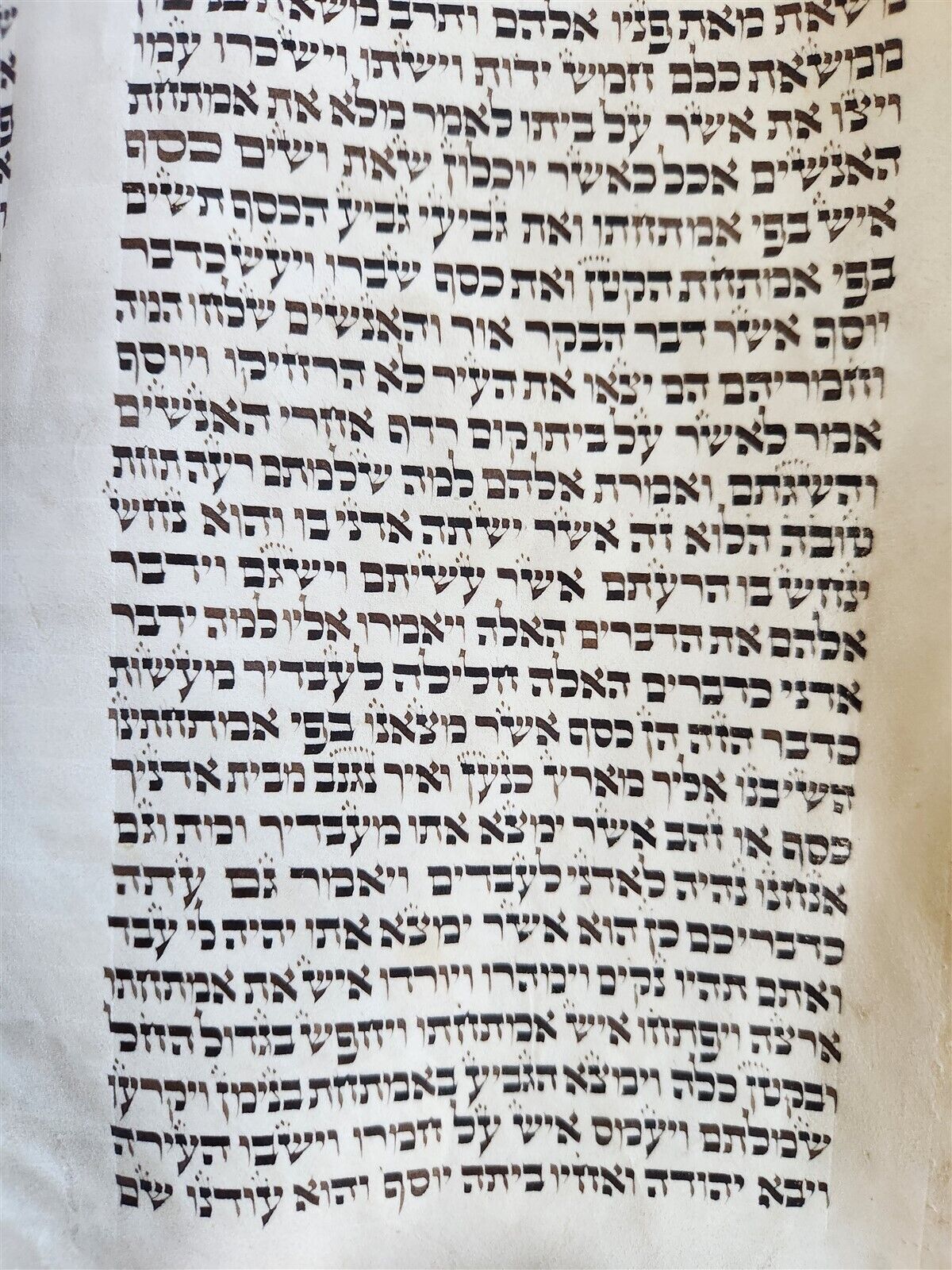 TORAH SCROLL FRAGMENT MANUSCRIPT on VELLUM antique BIBLE GENESIS 43:23 - 48:7