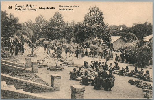 CONGO BELGE LEOPOLDVILLE ANTIQUE POSTCARD