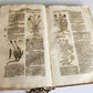 1696 THEATRUM BOTANICUM by Theodor ZWINGER antique ILLUSTRATED FOLIO in GERMAN