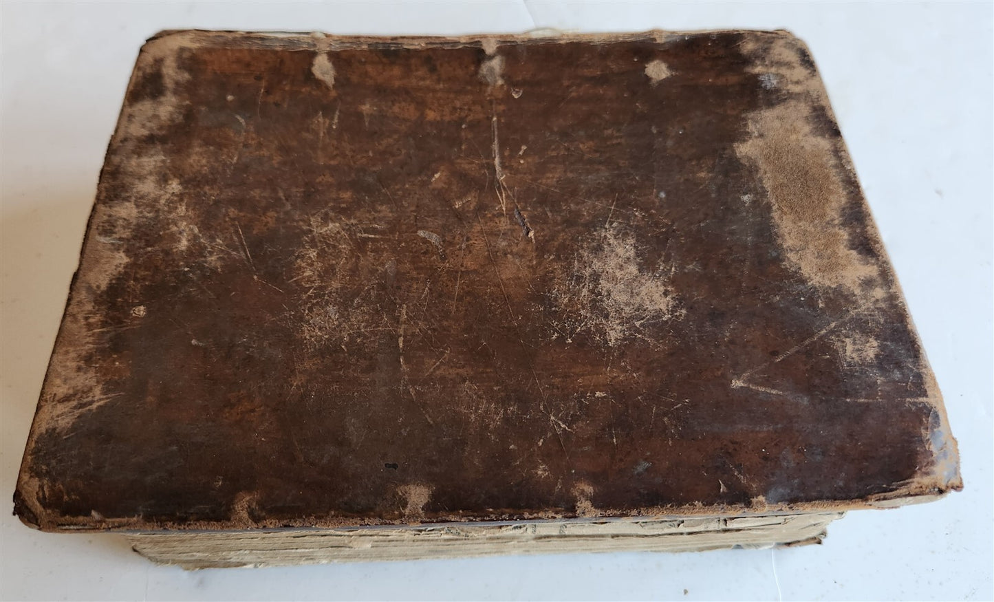 1629 BIBLE in ENGLISH antique ILLUSTRATED Old & New Testament
