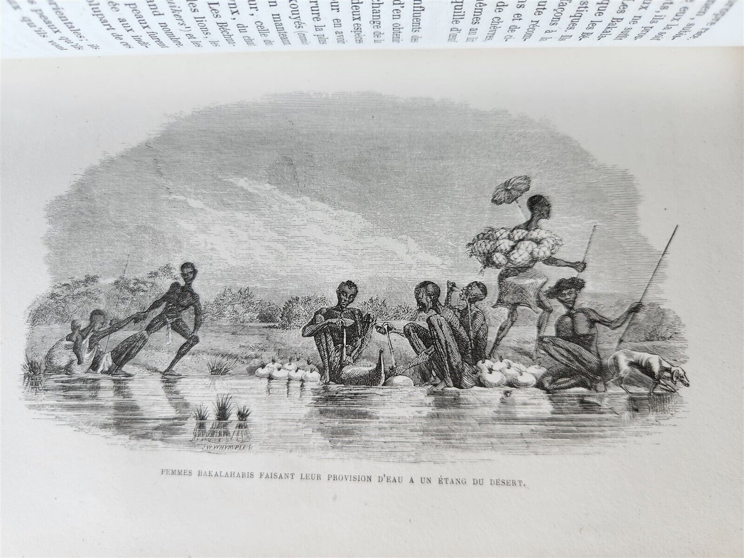 1859 EXPLORATIONS L'AFRIQUE et AUSTRALE LIVINGSTONE VOYAGES antique ILLUSTRATED