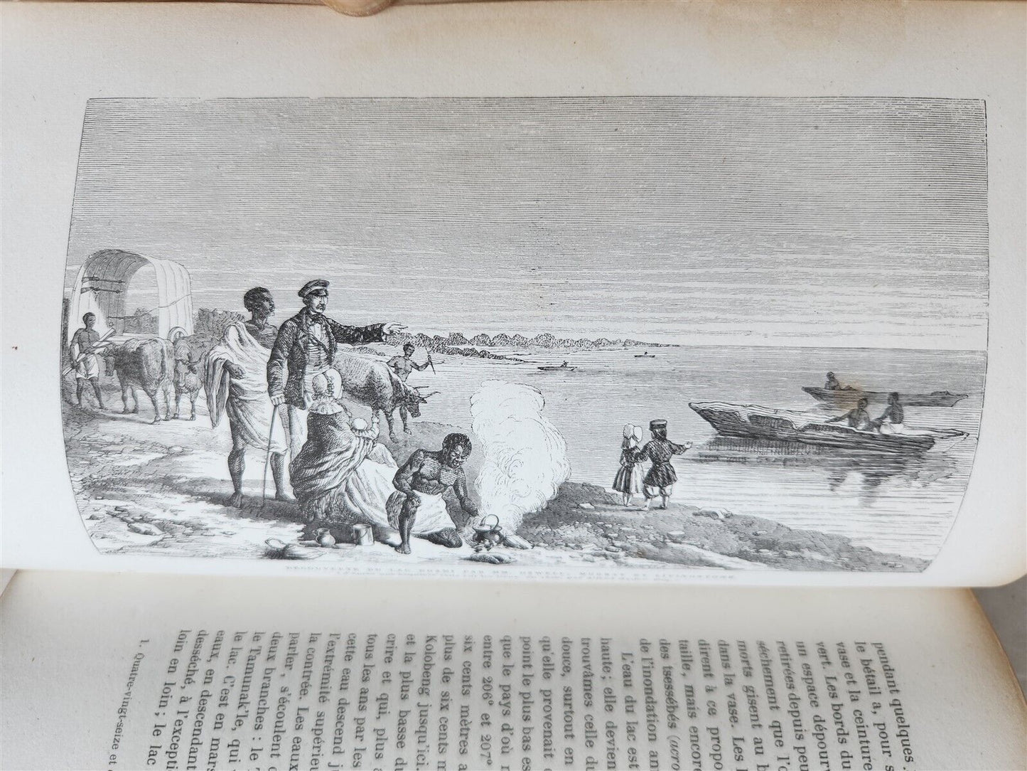 1859 EXPLORATIONS L'AFRIQUE et AUSTRALE LIVINGSTONE VOYAGES antique ILLUSTRATED