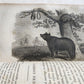 1818 HISTORY of ANIMALS ILLUSTRATED w/ 65 PLATES antique 6 VOLUMES