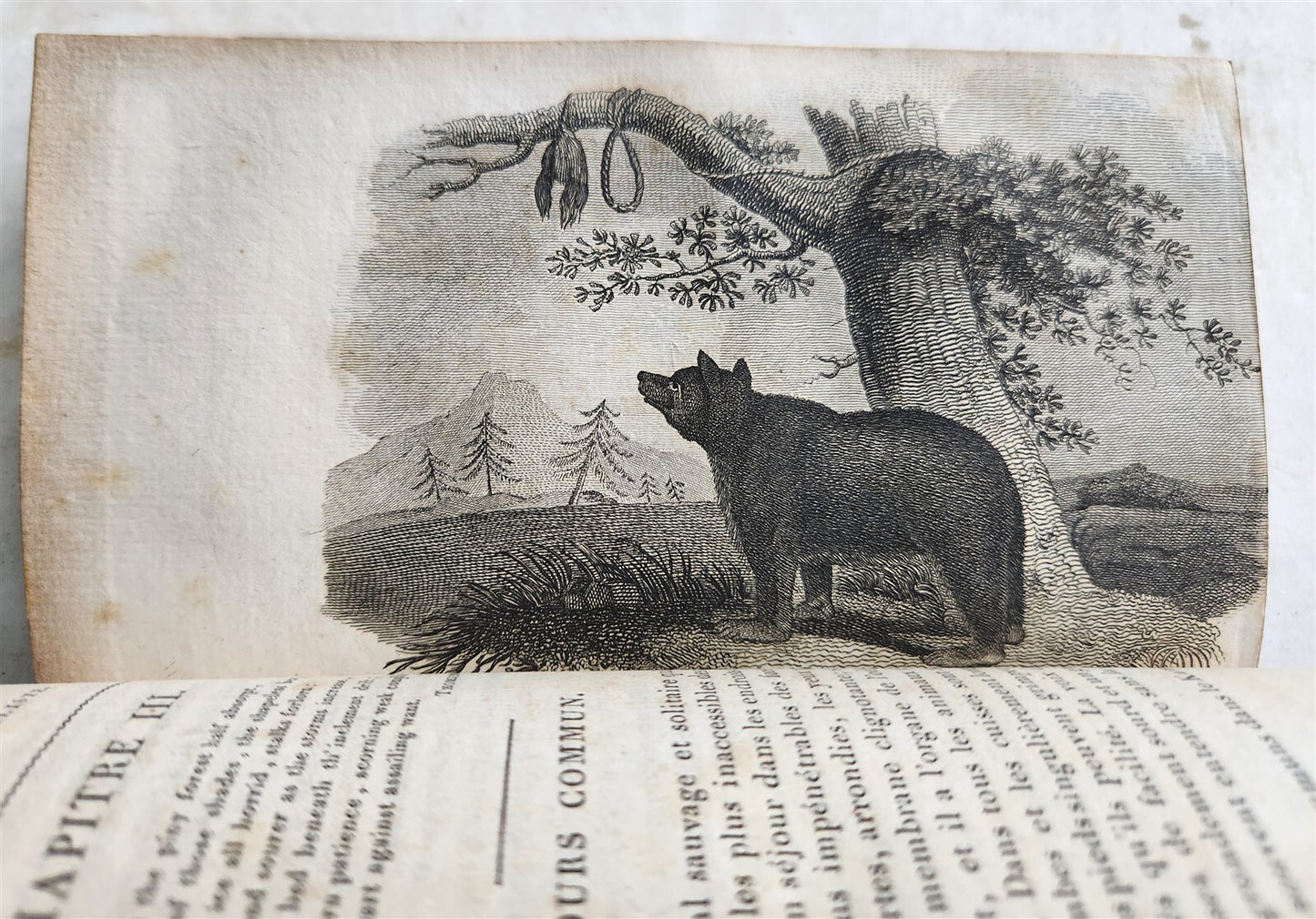 1818 HISTORY of ANIMALS ILLUSTRATED w/ 65 PLATES antique 6 VOLUMES