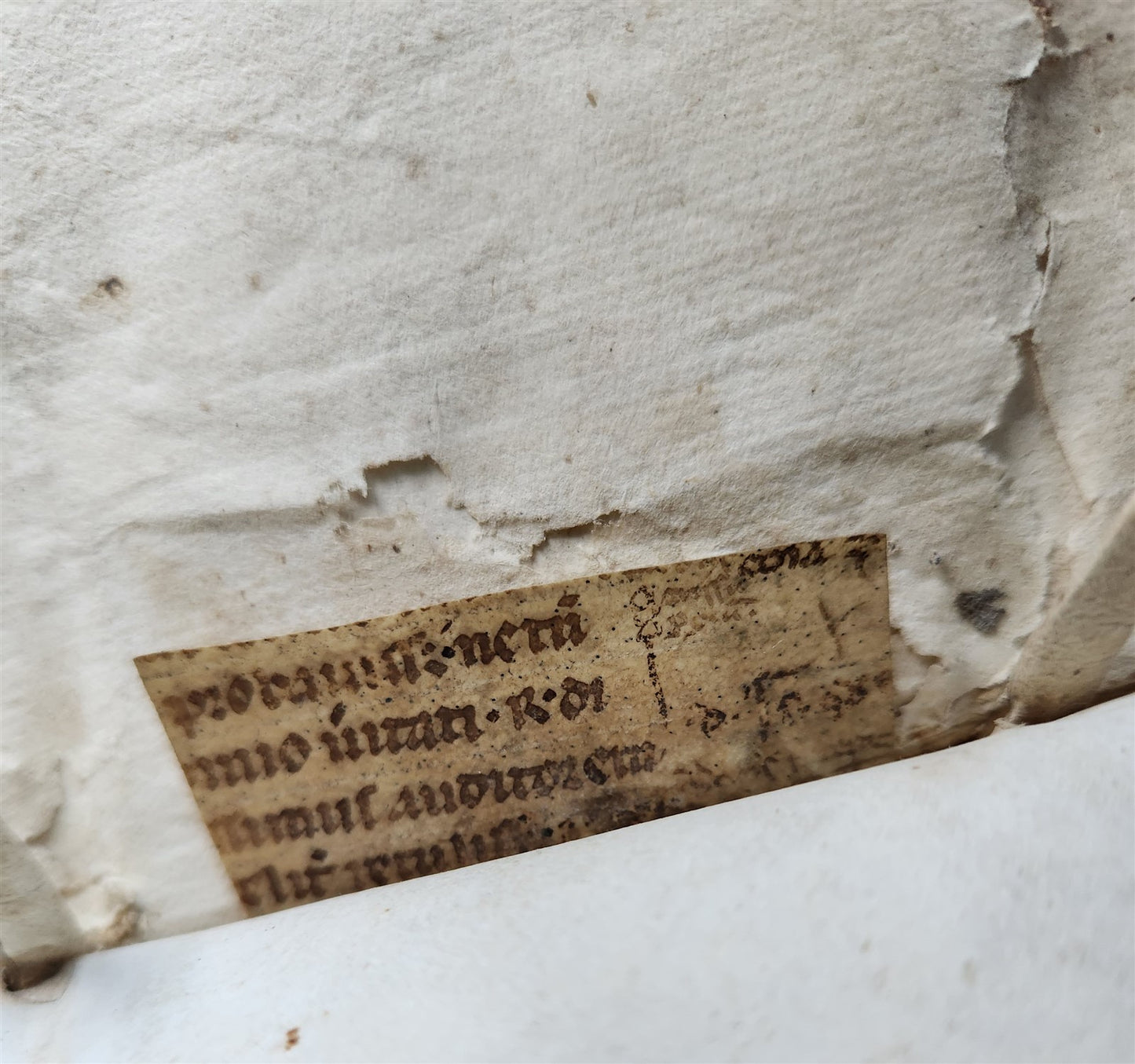 1567 CANON LAW antique 16th CENTURY FOLIO vellum binding Decisiones Canonicae