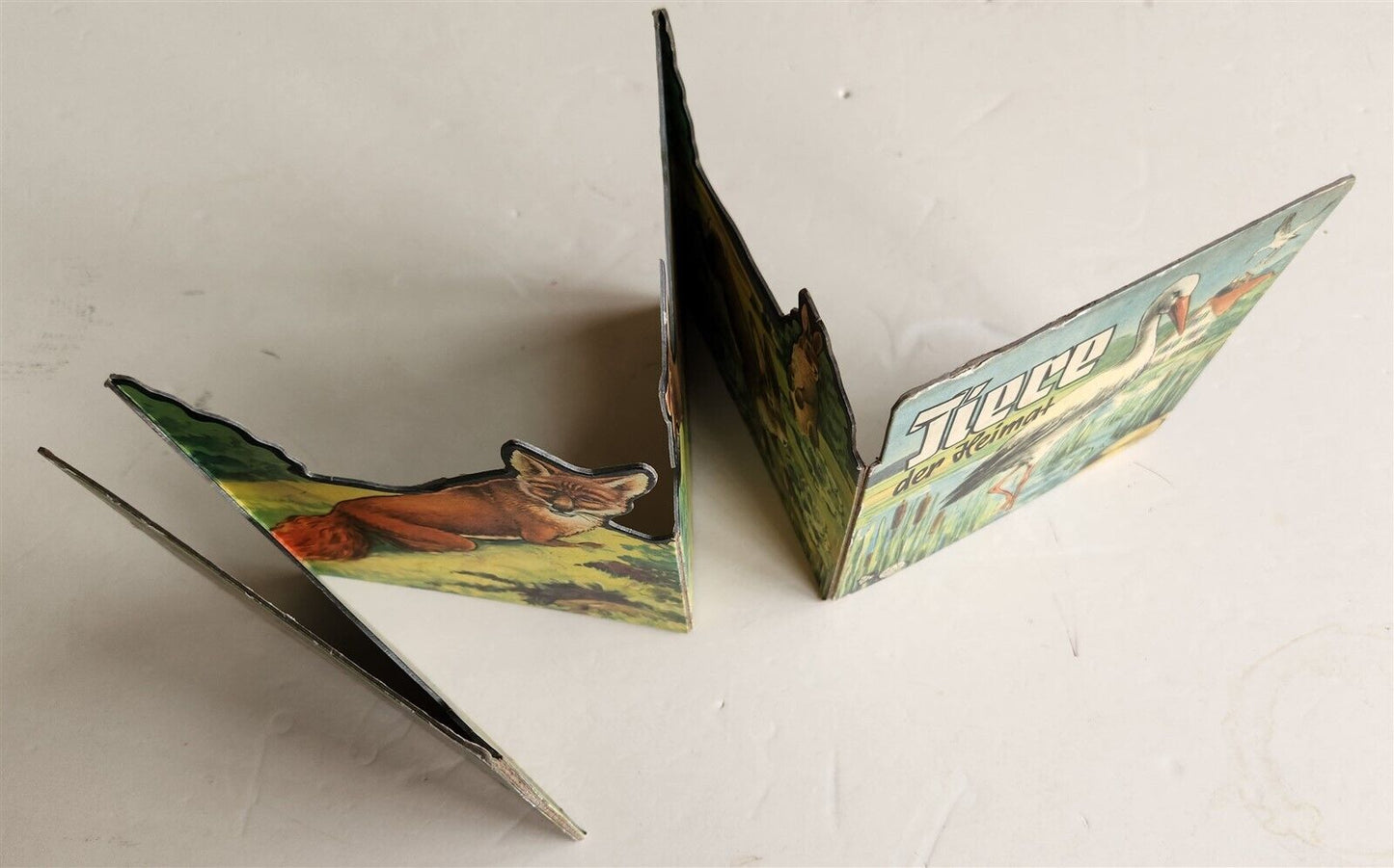 1950s antique ILLUSTRATED CHILDREN BOOK tiere der heimat ANIMALS of the HOMELAND