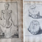 1645 ANATOMY TREATISE Adrian Spigelius 176 ENGRAVINGS ILLUSTRATED FOLIO antique