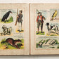 1900s antique ILLUSTRATED GERMAN CHILDREN BOOK NEUES BILDERALBUM accordion style