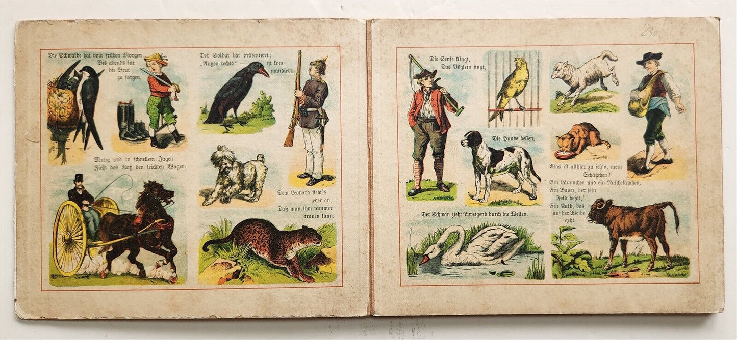 1900s antique ILLUSTRATED GERMAN CHILDREN BOOK NEUES BILDERALBUM accordion style