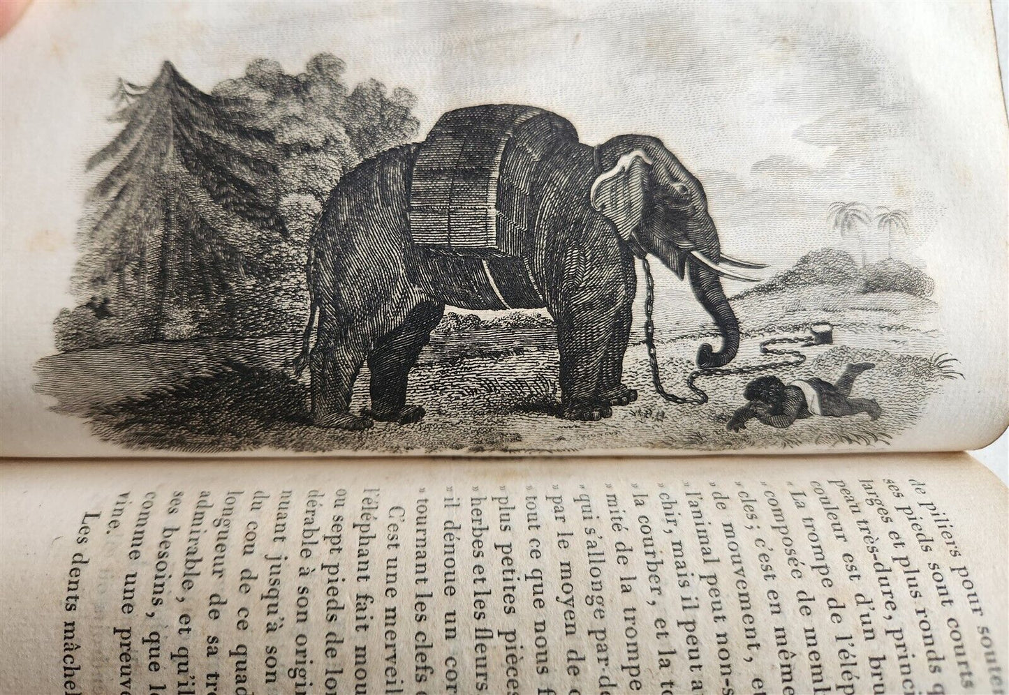 1818 HISTORY of ANIMALS ILLUSTRATED w/ 65 PLATES antique 6 VOLUMES