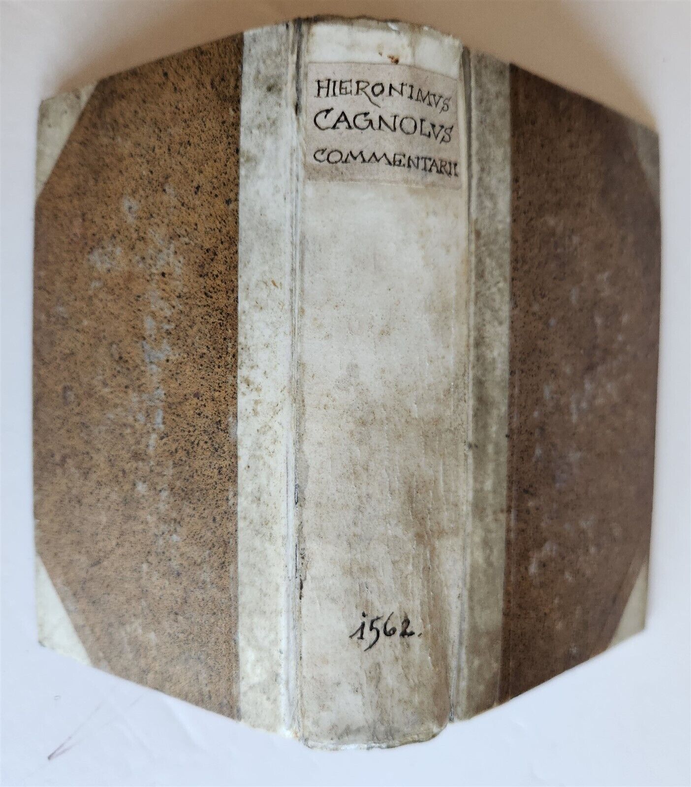 1562 LAW BOOK Dn. HIERONYMI CAGNOLI VERCELLENSIS IURECONSULTI antique VELLUM