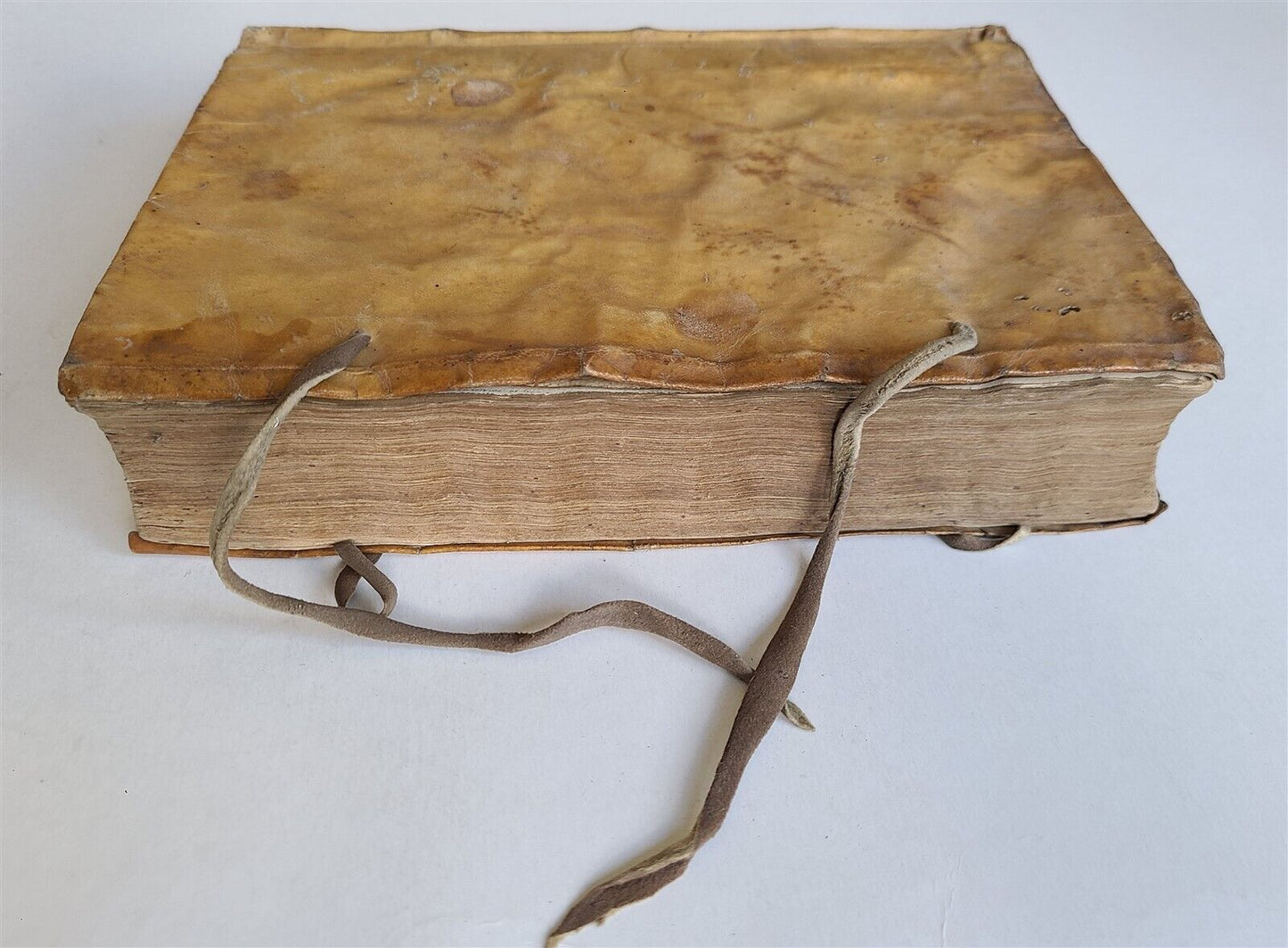 1598 CANON LAW THEOLOGY by Martino de AZPILCUETA antique VELLUM 16th CENTURY