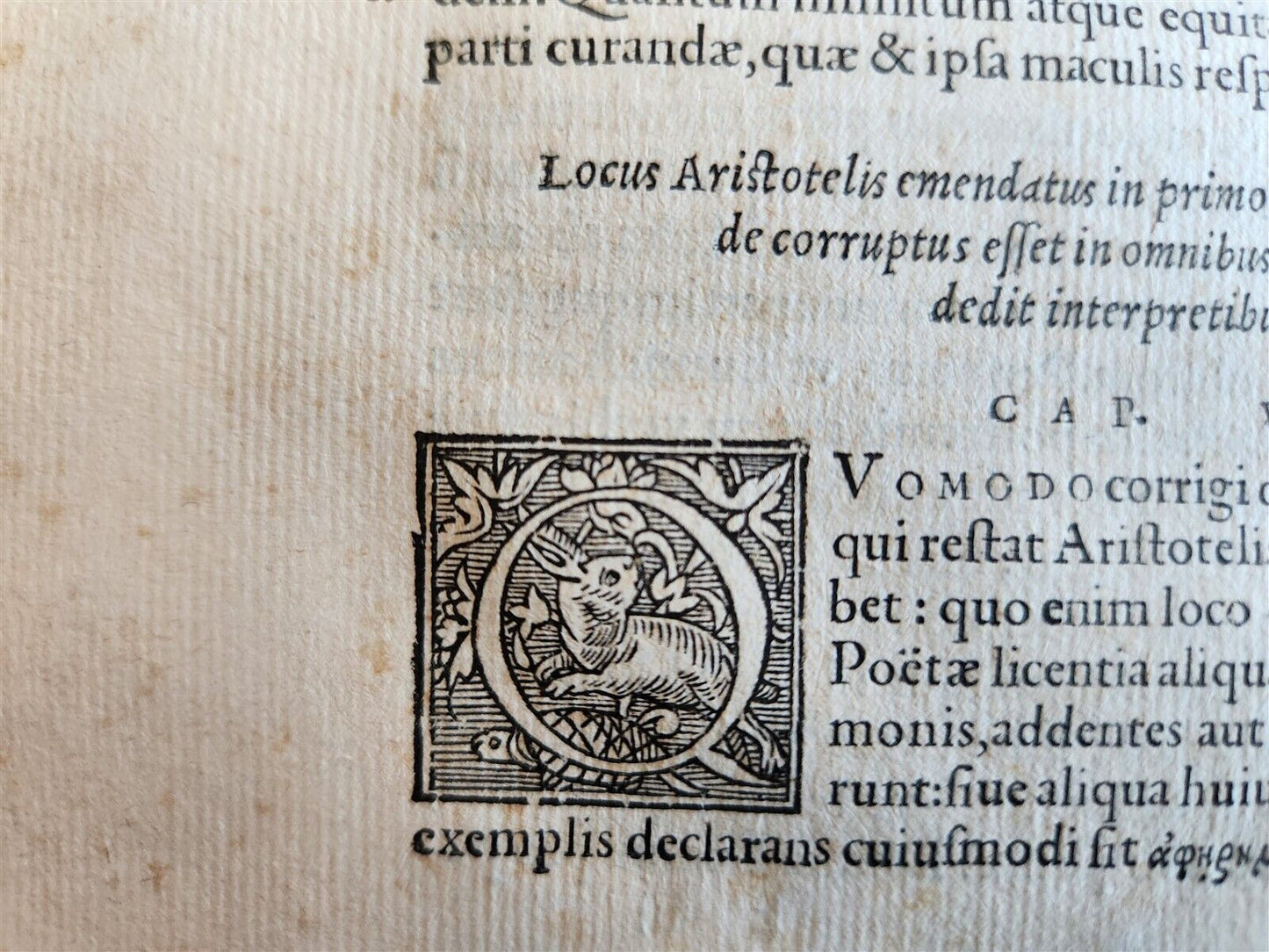 1554 VICTORII PETRI VARIARUM LECTIONUM antique 16th CENTURY