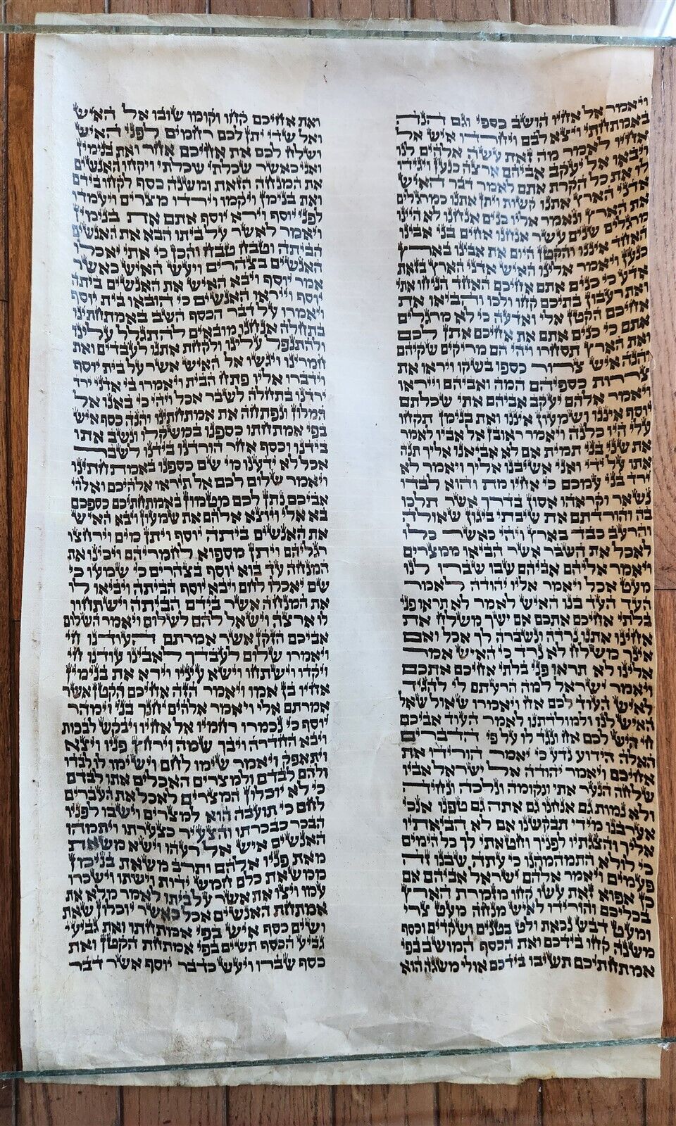 TORAH SCROLL FRAGMENT MANUSCRIPT on VELLUM antique BIBLE GENESIS 42:28 - 44:2