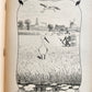 1900s ILLUSTRATED GERMAN CHILDREN BOOK antique FAIRYTALE LAND OF ANIMALS