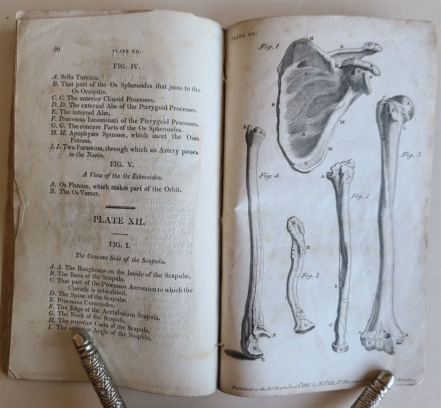 1822 ENGRAVINGS OF THE HUMAN BONES by WILLIAM CHESELDEN ILLUSTRATED antique