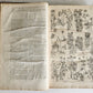 1756 BRITISH HERBAL J.HILL antique ILLUSTRATED FOLIO HISTORY OF PLANTS & TREES