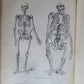 1861 EXPLORATIONS ADVENTURES in EQUATORIAL AFRICA by Chaillu illustrated antique