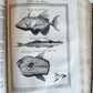 1748 HISTORY of TRAVELS Guinea Benin & Sierra Leone antique ILLUSTRATED